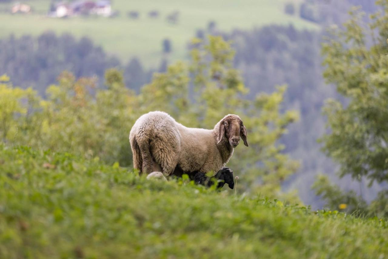 Oberplunerhof - Fewo Kronplatz Chienes Kültér fotó