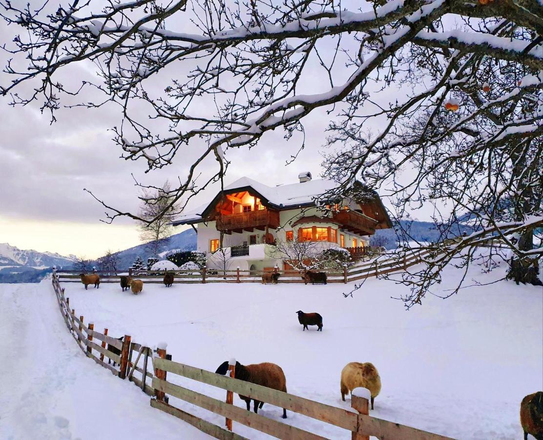 Oberplunerhof - Fewo Kronplatz Chienes Kültér fotó